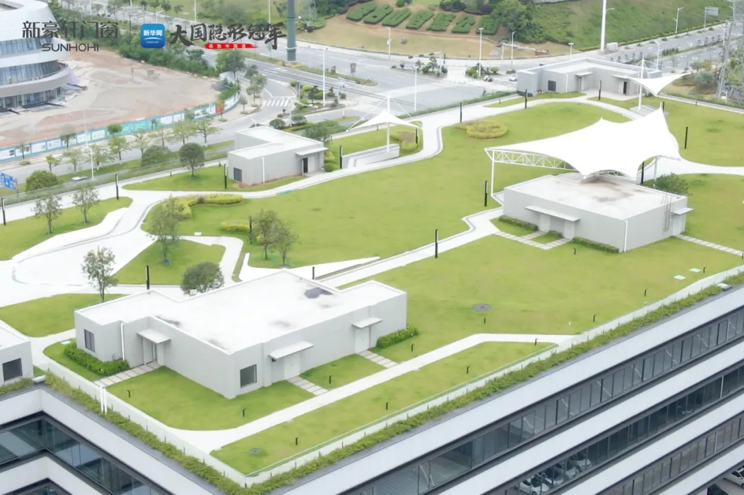 1739703942882205.jpg 01.JPG